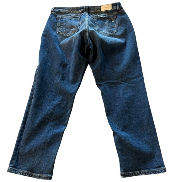 Slink Jeans Curvy size 14 Jeans rise 10 1/2", inseam 26" cropped, distressed - Picture 2 of 5
